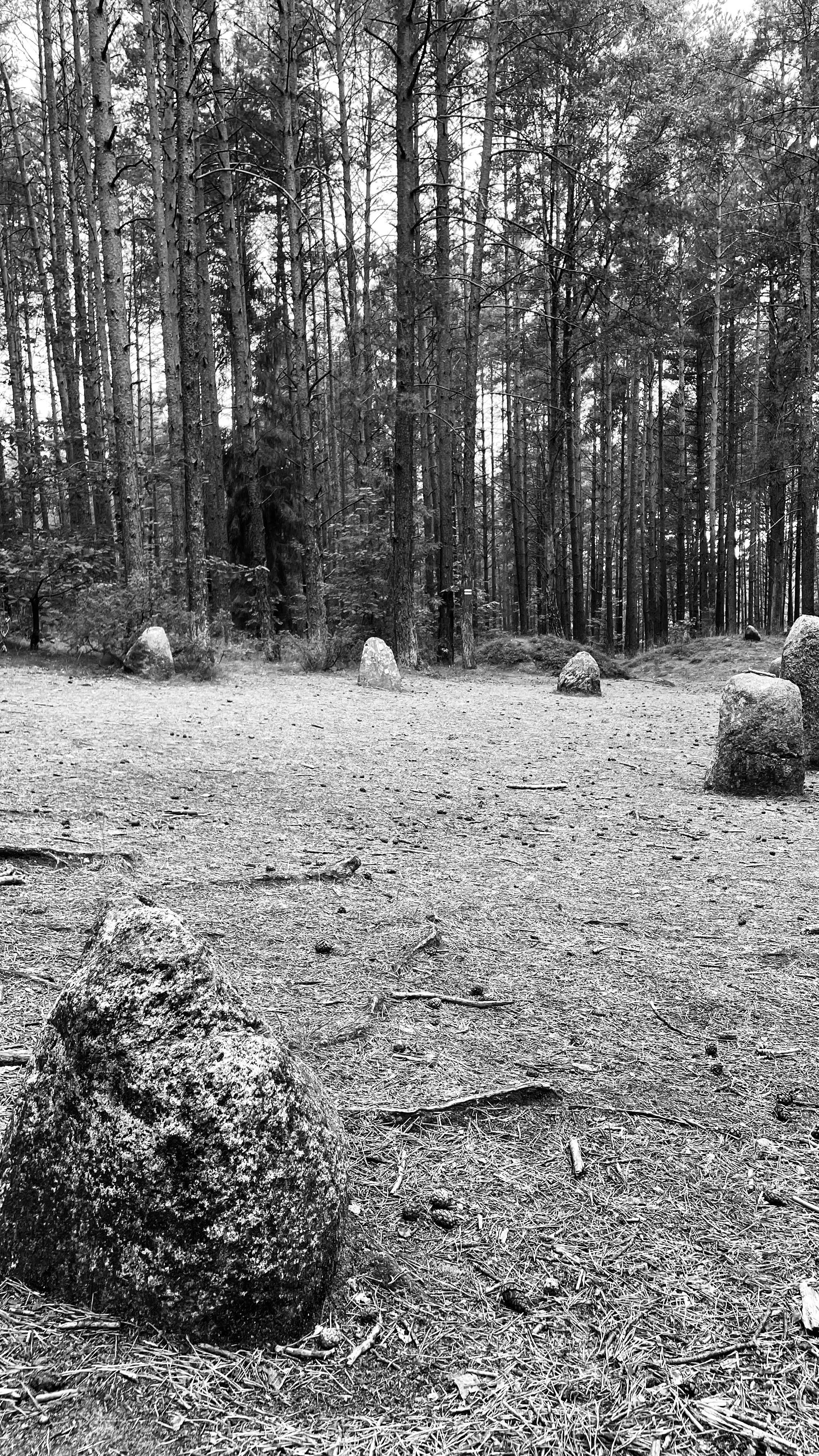 Stone Circles, Węsiory